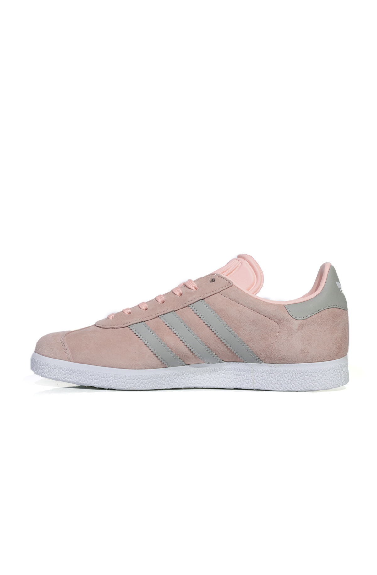 gazelle rosa