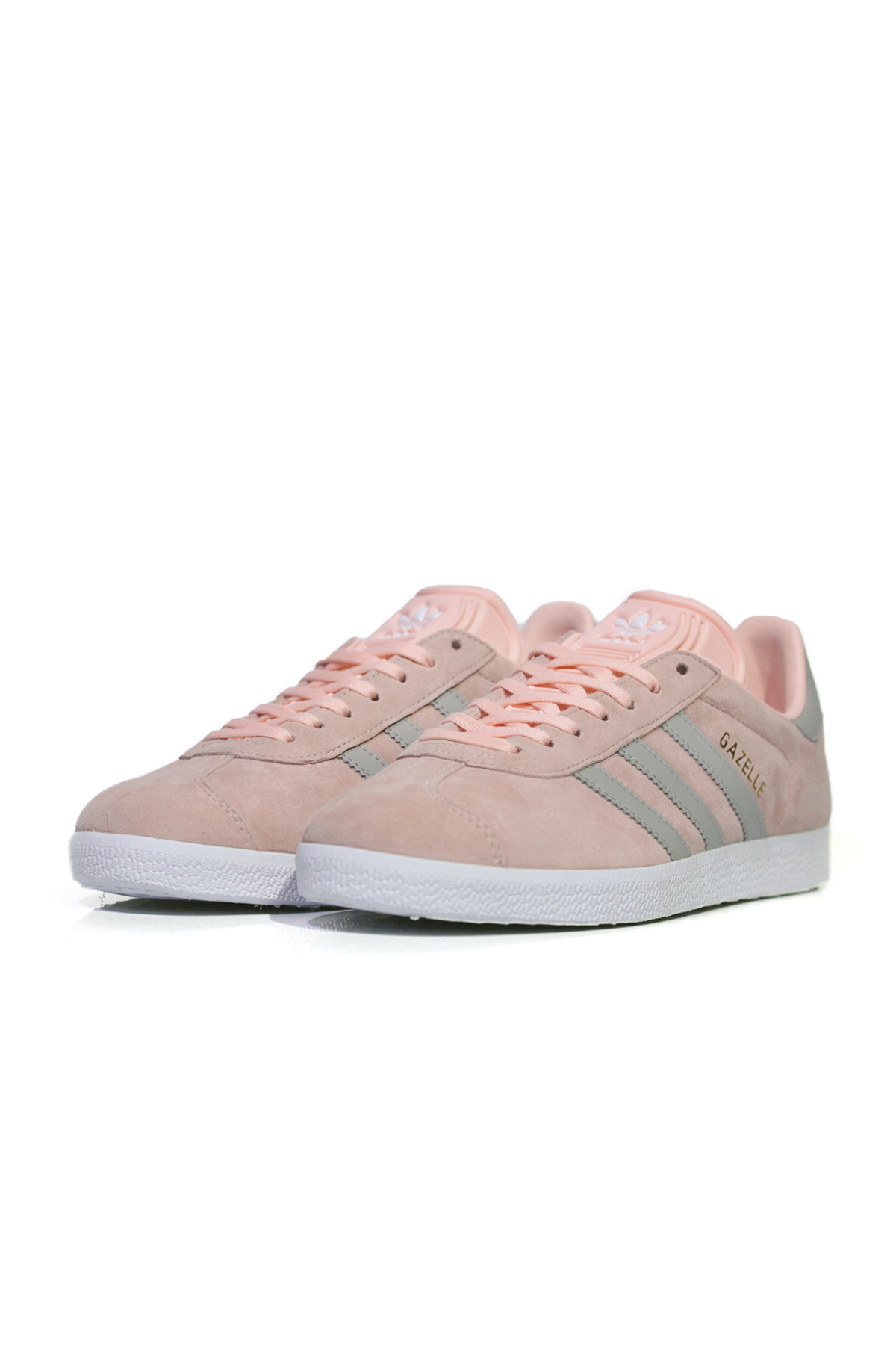 gazelle rosa
